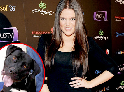 Khloe Kardashian Odom, Fred the Dog Khloe Kardashian Odom, Fred the Dog